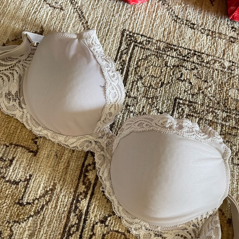 Natori feathers bra